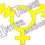 logo_transinteraction.png